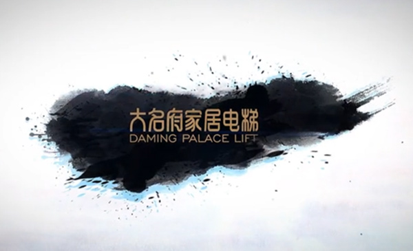 大名府家用電梯泰州實拍案例