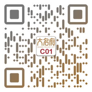 現(xiàn)代風風格別墅電梯C01