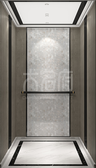 現(xiàn)代風風格別墅電梯C01