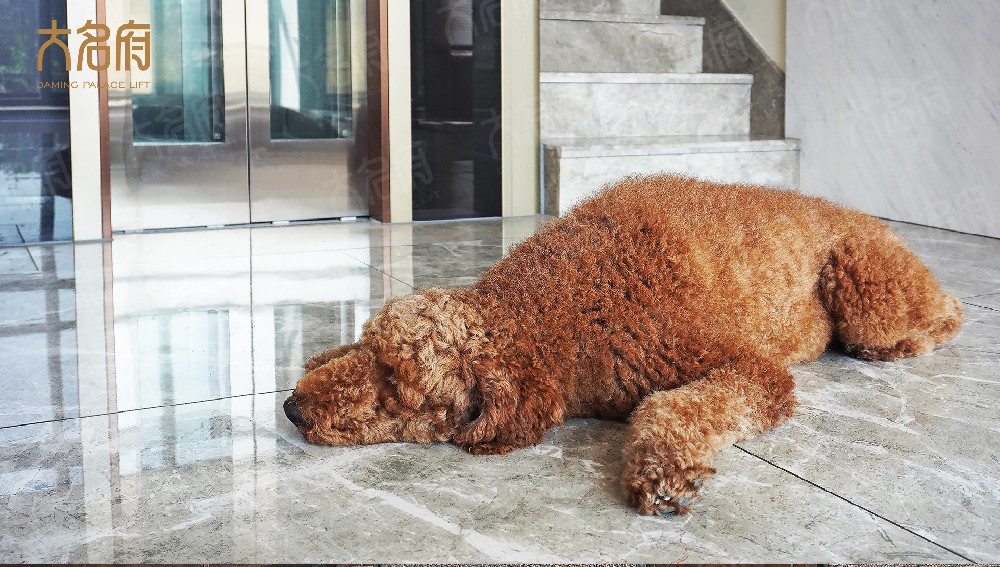 家用升降梯有哪些種類？?jī)?yōu)缺點(diǎn)有哪些？