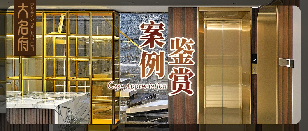 大名府家用電梯案例鑒賞 | 潮流與優(yōu)雅的融合，譜寫浪漫生活樂章