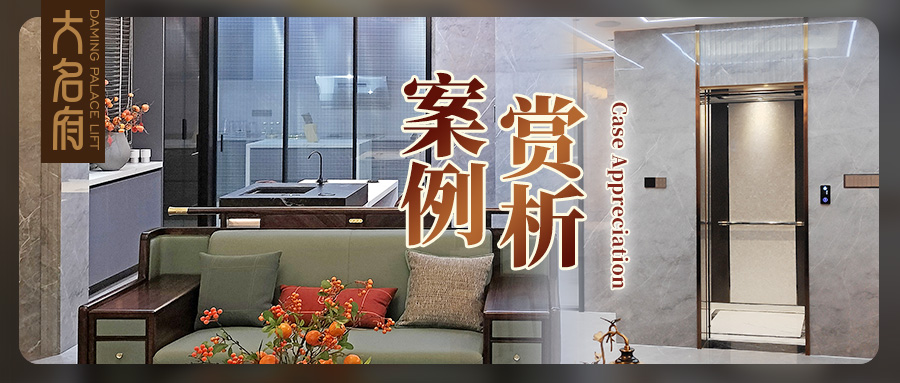 大名府家用電梯 | 細(xì)心鐫刻，1㎡盡顯全屋動(dòng)容時(shí)光