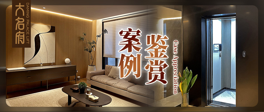 大名府家用電梯案例鑒賞 | 質(zhì)感生活×理性藝術(shù)，悅?cè)煌ㄐ械膴W秘