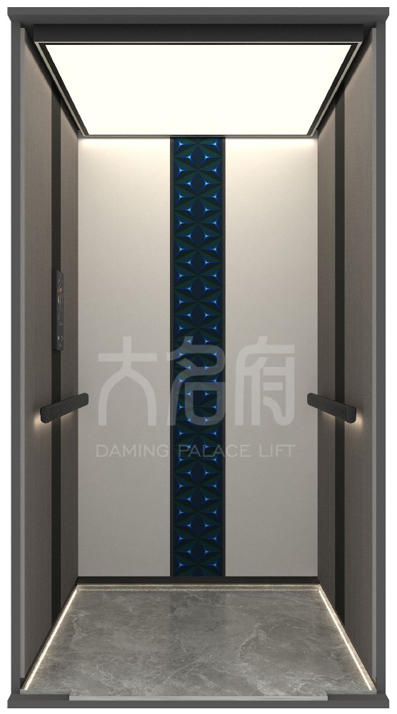 現(xiàn)代風風格別墅電梯C09