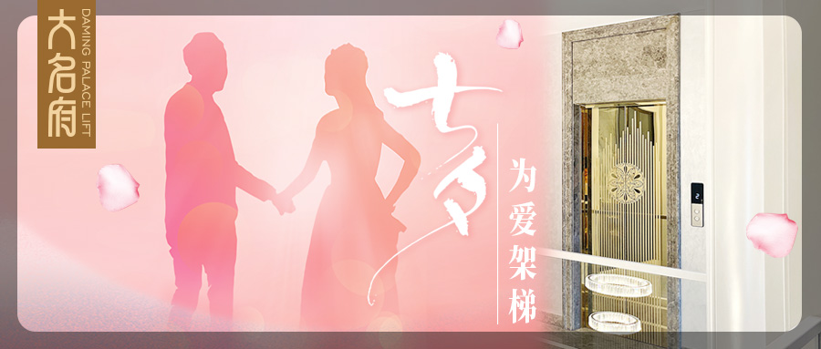 大名府家用電梯 | 為愛(ài)架梯，朝朝暮暮皆為七夕