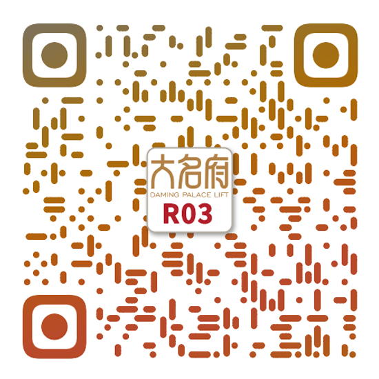 簡(jiǎn)約風(fēng)別墅電梯R03