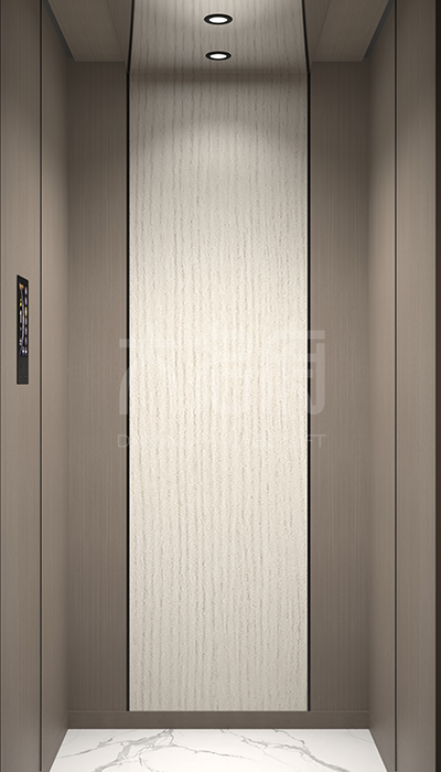 簡(jiǎn)約風(fēng)別墅電梯R06