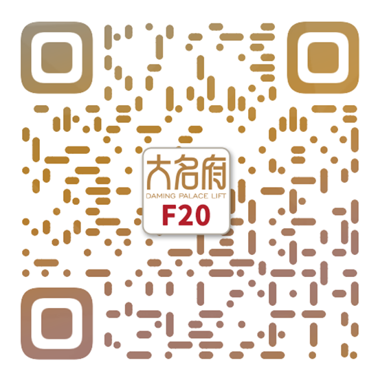 簡(jiǎn)約風(fēng)別墅電梯F20