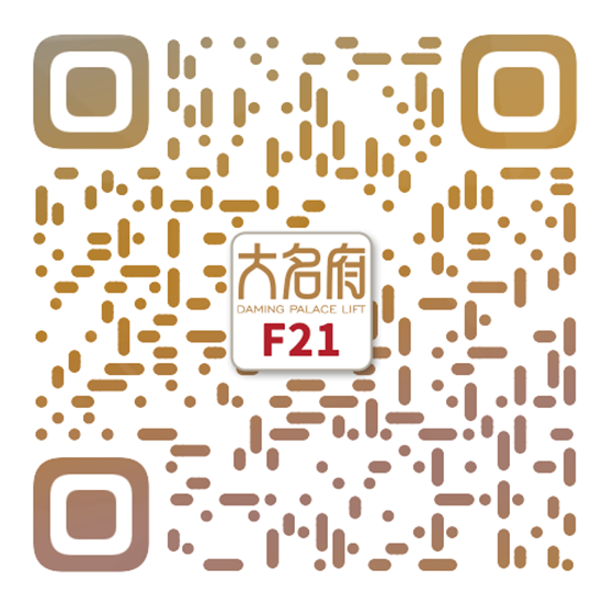 簡(jiǎn)約風(fēng)別墅電梯F21