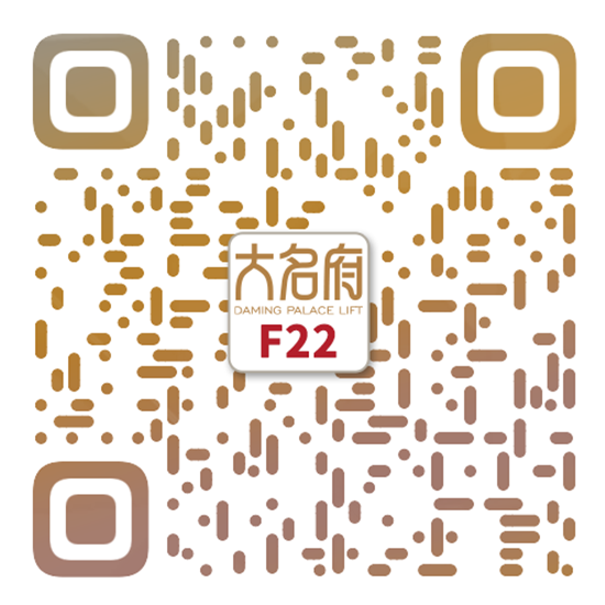 簡(jiǎn)約風(fēng)別墅電梯F22