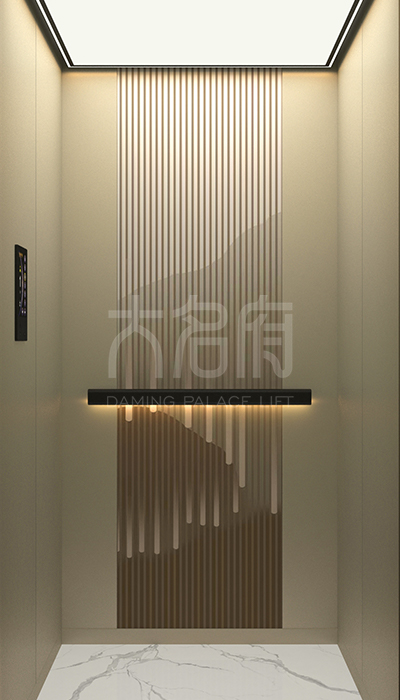 簡(jiǎn)約風(fēng)別墅電梯F22