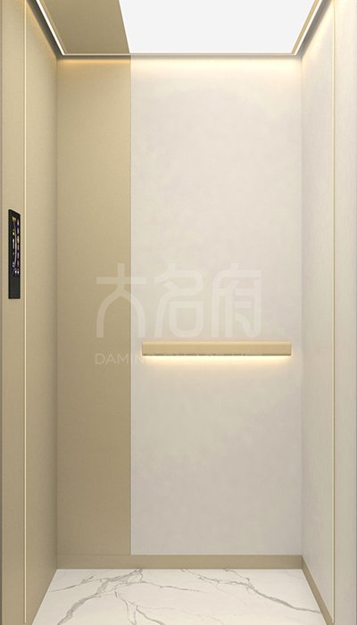 簡(jiǎn)約風(fēng)別墅電梯F23