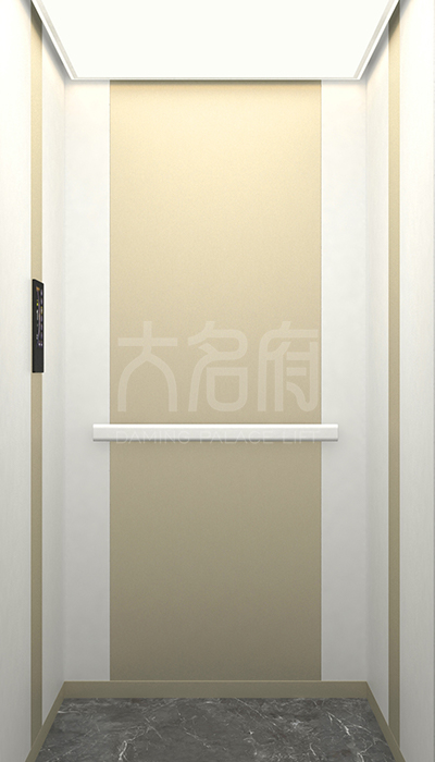 簡(jiǎn)約風(fēng)別墅電梯F24