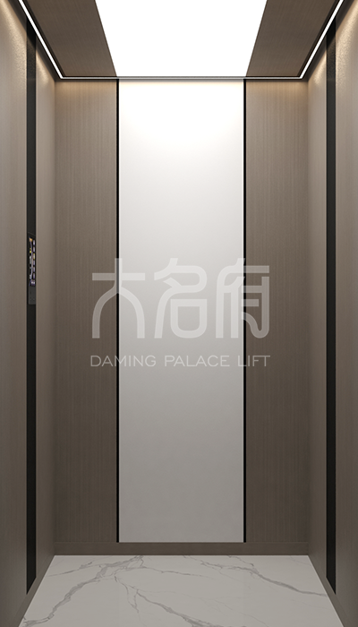 簡(jiǎn)約風(fēng)別墅電梯R08