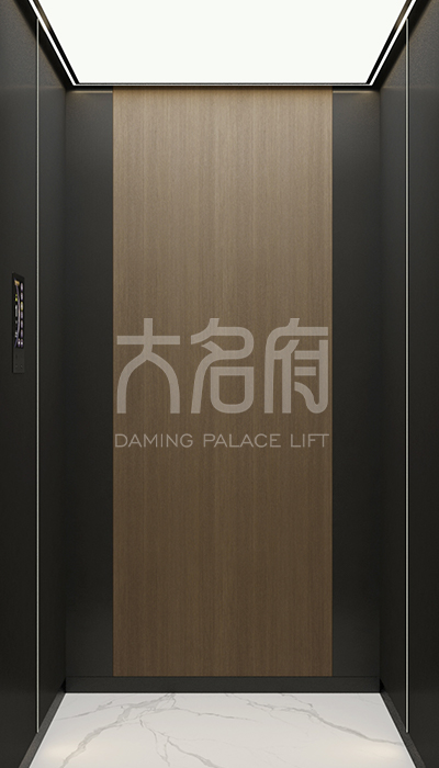 簡(jiǎn)約風(fēng)別墅電梯R01
